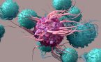 T ćelije imunog sistema